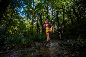 BIB: 
                            <button type="button" onclick="openModal(19239396)" class="btn btn-primary btn-sm float-right btn-popup" data-toggle="modal" data-target=".modal-high-quality">
                        <i class="fas fa-shopping-cart"></i> Add to Cart
                    </button>
                                            <button type="button" onclick="isThisMe(19239396, true)" class="btn btn-success btn-sm float-right btn-popup btn-isme hidden" data-toggle="tooltip" data-placement="bottom" title="นี่คือรูปของคุณใช่ไหม คลิกที่นี่เพื่อเอาเข้าอัลบั้ม">
                        <i class="fas fa-plus"></i> Add to album
                    </button>
                    <button type="button" onclick="isThisMe(19239396, false)" class="btn btn-warning btn-sm float-right btn-popup btn-isnotme hidden">
                        <i class="fas fa-ban"></i> Remove from album
                    </button>